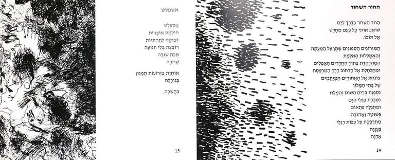 book-Smadar-Sharet-Israeli-poetess